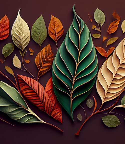 customised_wallpaper banner